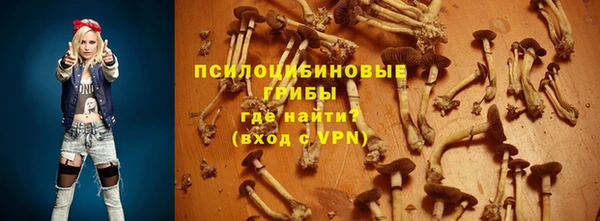 стаф Алексеевка