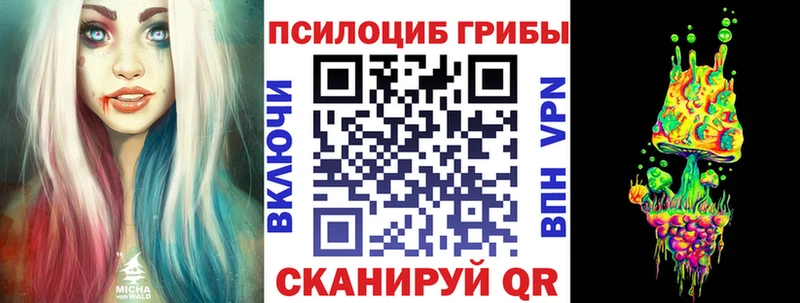 цены   Луга  Галлюциногенные грибы прущие грибы 