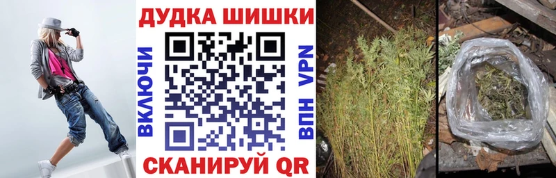 блэк спрут рабочий сайт  Луга  Бошки марихуана сатива 